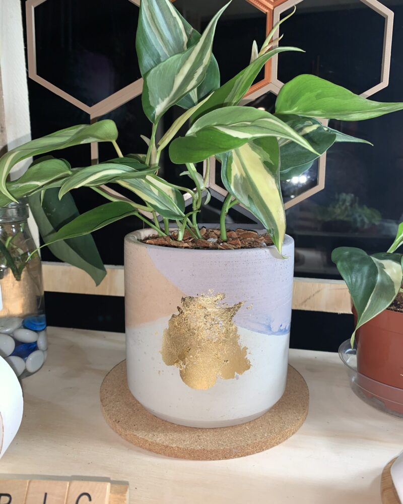 Concrete Planter by Rio Lane Designs