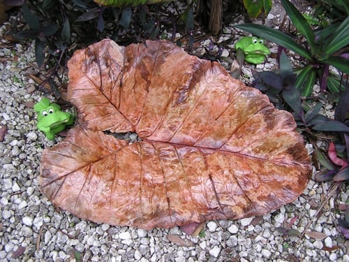 Acid Stain Concrete Decor