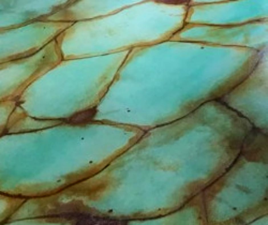 Podcast: Podcast: Guidelines for Using Blue and Green Acid Stain