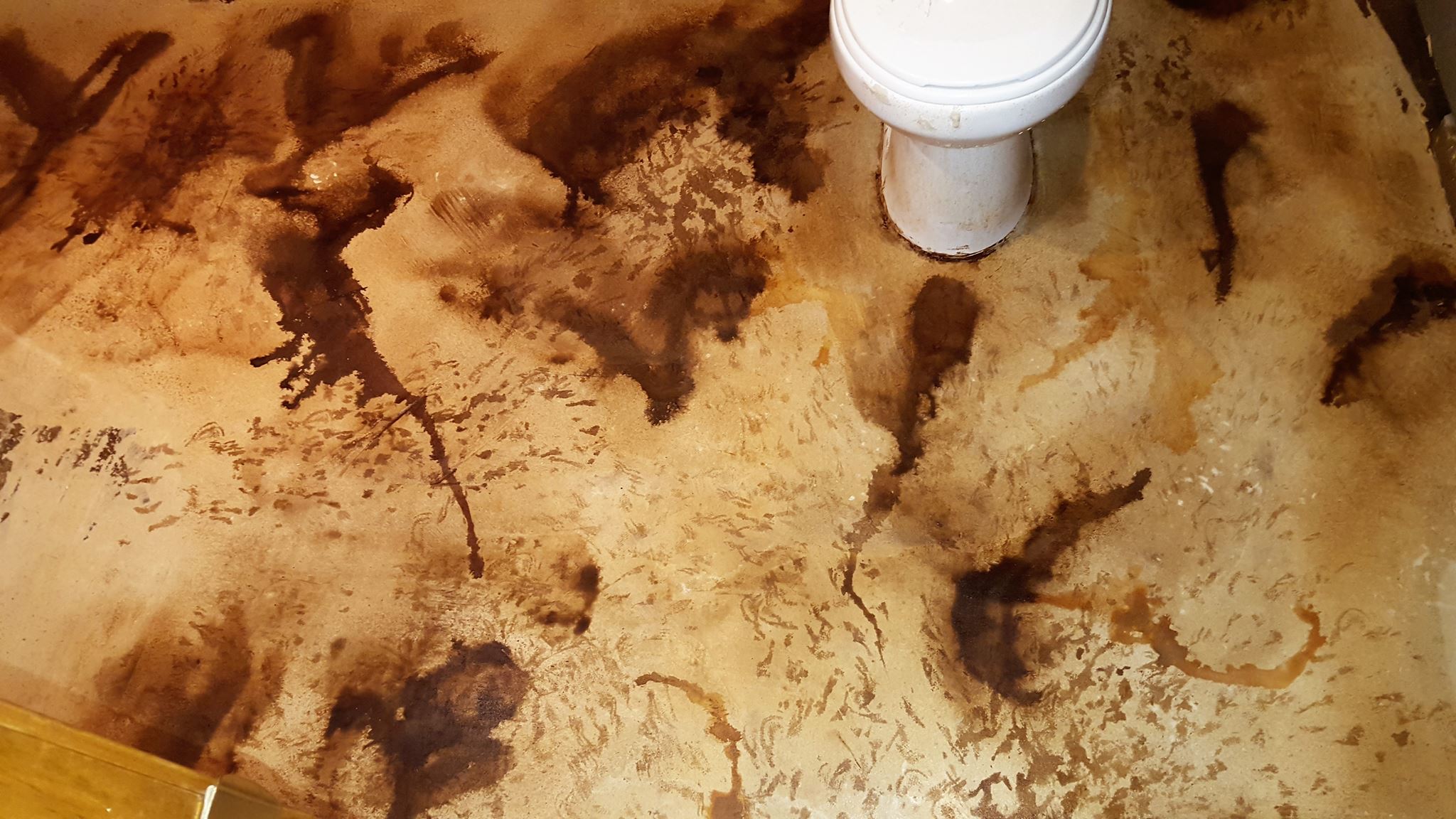 This bathroom's stained concrete floor is sealed with EasySeal satin for long-lasting protection