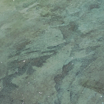 Seagrass EverStain Swatch