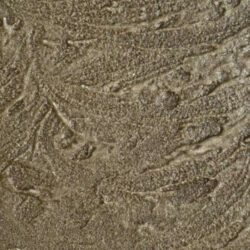 Olive Antiquing Swatch