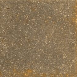 Portico Wheat Swatch