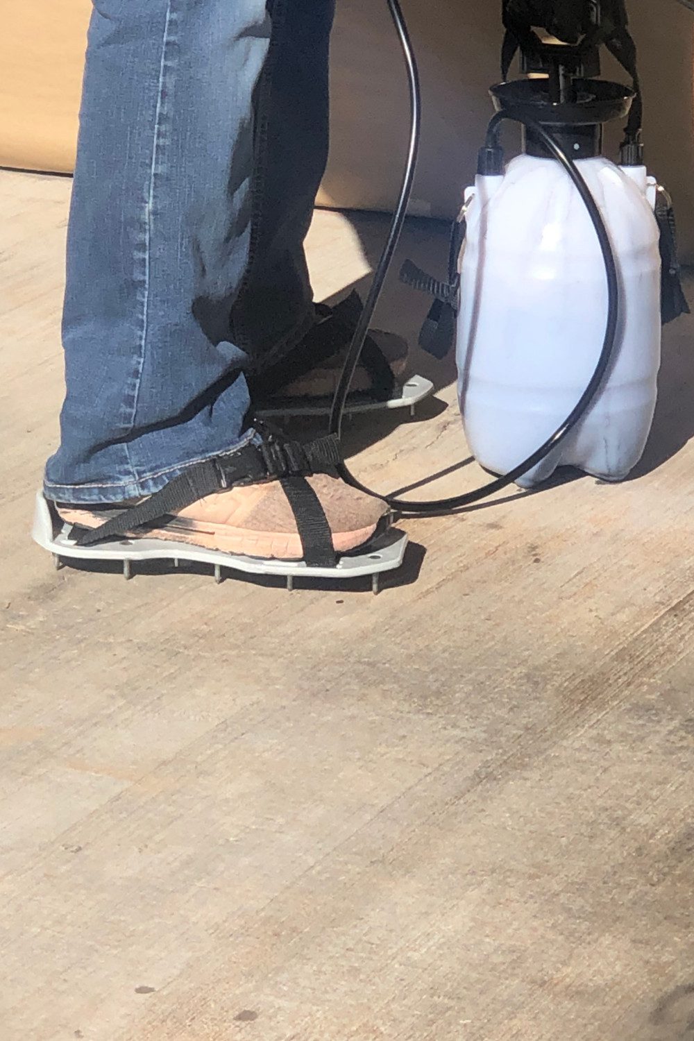 Wear spiked shoes to avoid shoe prints on while staining