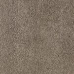 EasyTint Light Charcoal