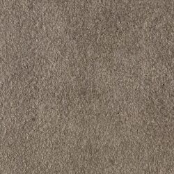 EasyTint Light Charcoal