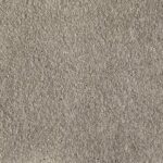 Silver Gray EasyTint Swatch