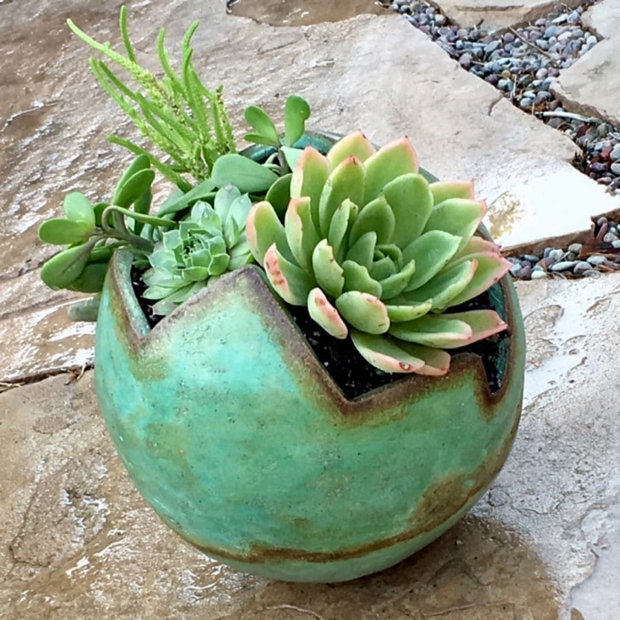 1 A DIY concrete planter colored with concrete stain is filled with succulents.
