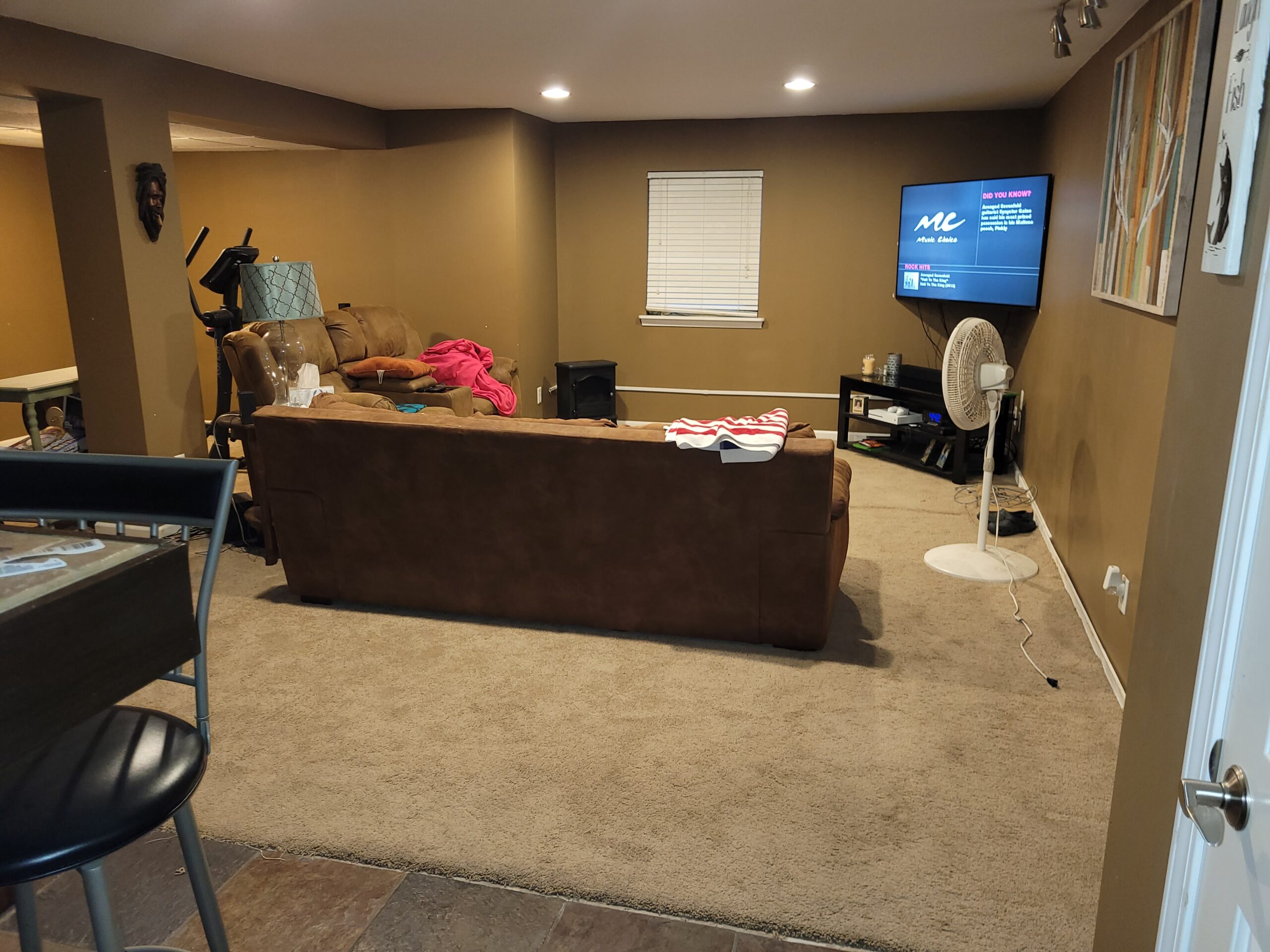 Carpeted Basement