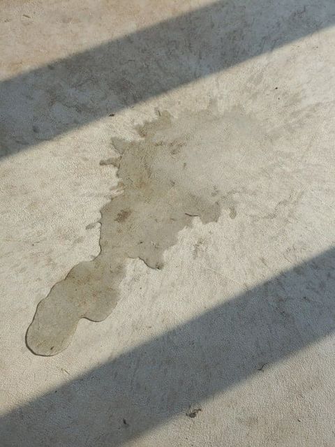 pour clean water on it and see what happens