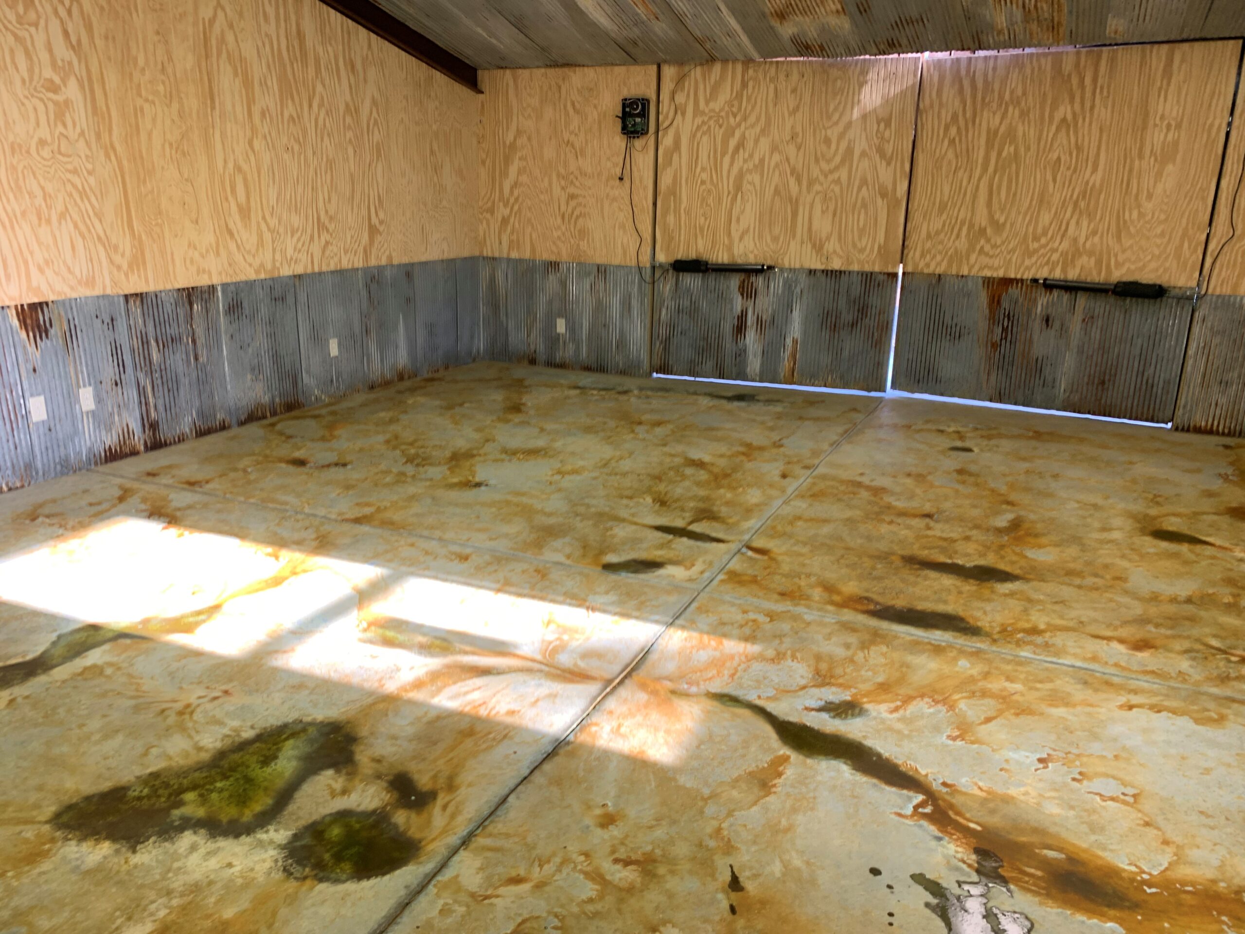 A concrete floor freshly sprayed with Avocado and Malayan Bluff acid stains from EverStain, showing a raw and unsealed look.