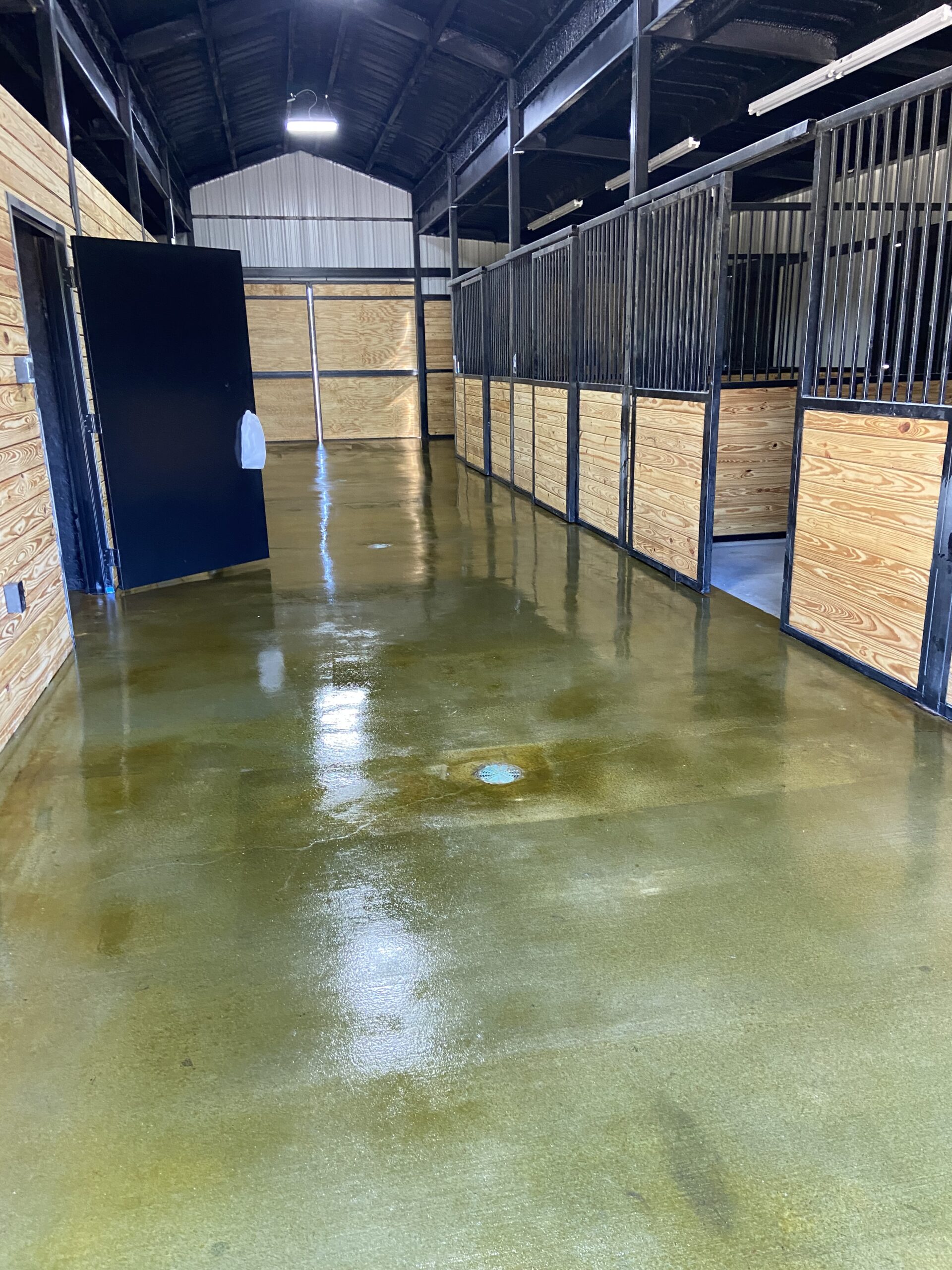 Close-up image of the high-gloss sealer immediately after application, reflecting the bright sheen