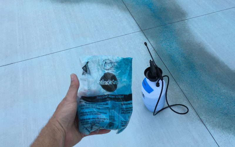 Use Miracle Gro to intensify the teal blue hues of seagrass EverStain acid stain