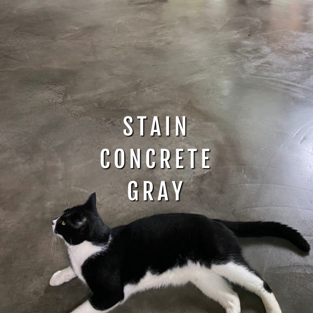 Design by color: Stain Concrete Gray; Before and After