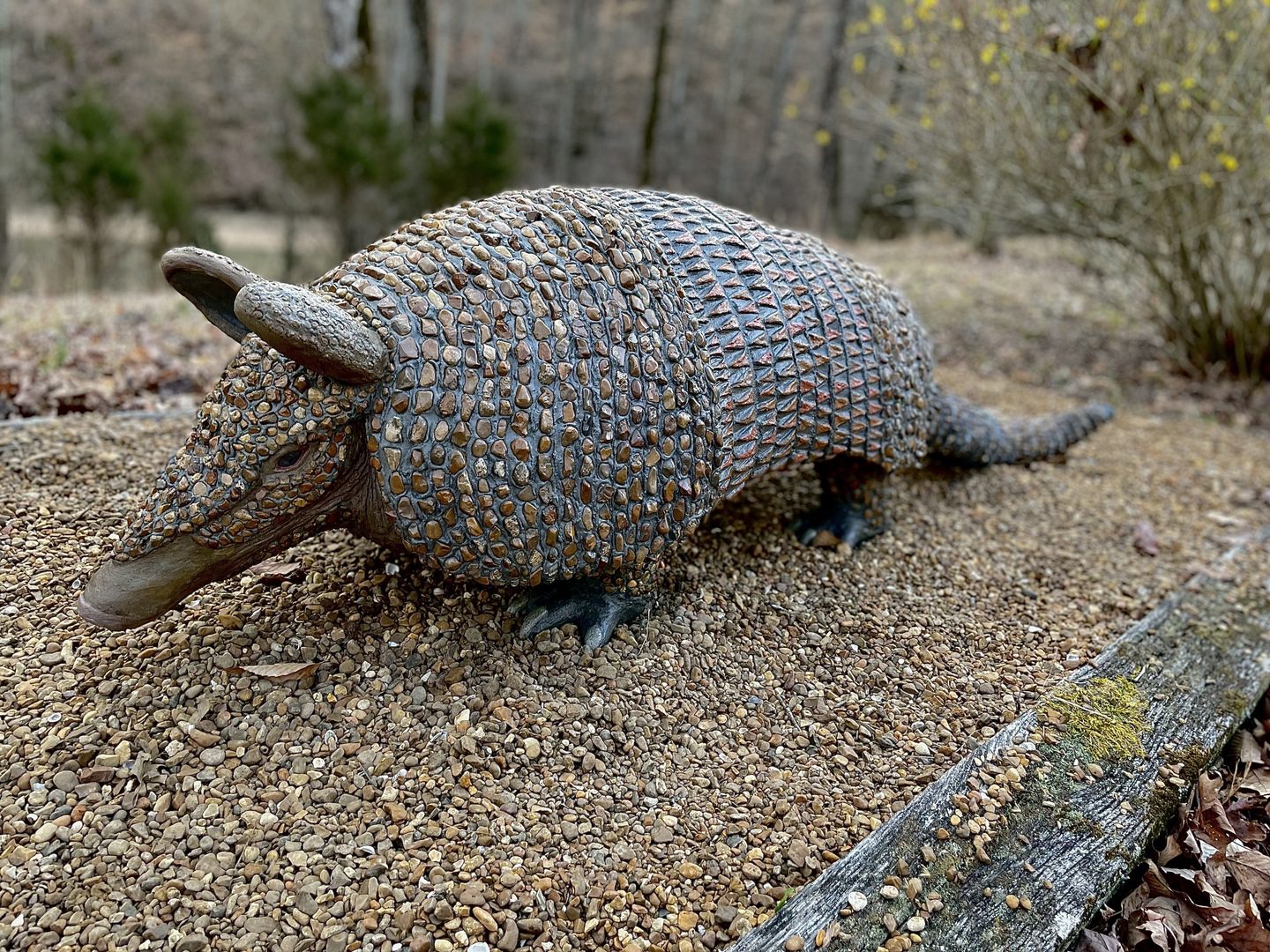 Concrete Decor by Catherine H.
