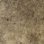 ColorWave® Stone Gray