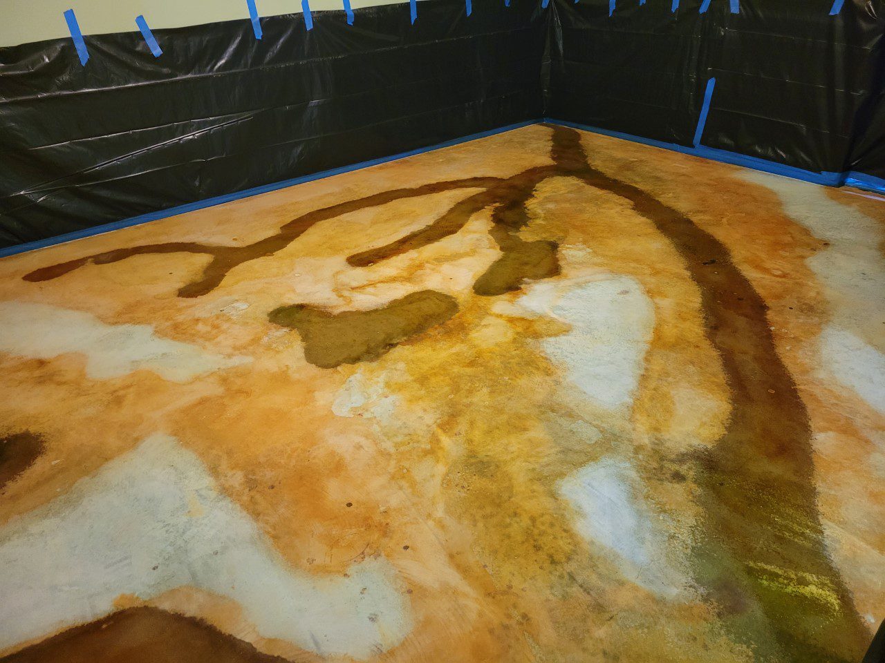 A concrete basement floor in the process of staining, featuring Malayan Buff & Avocado base colors and Seagrass acid stain accents