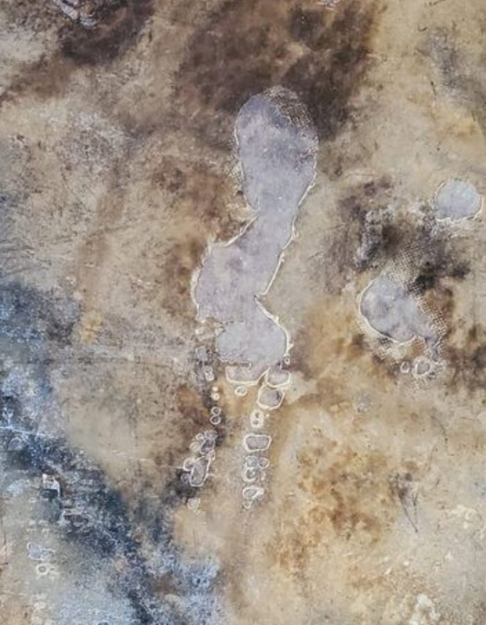 Poor acid stain result on concrete with residual carpet glue