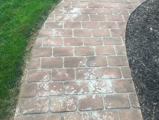 Before image