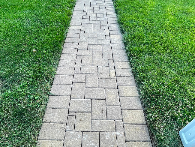 Before image