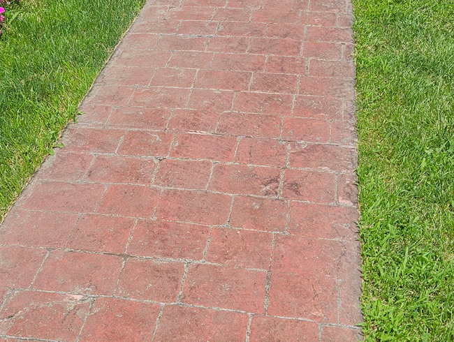 Before image
