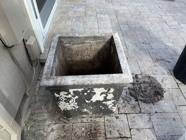 Before image