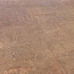 Antiquing™ Cafe Royale