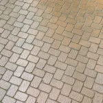 EasyTint™ Goldenrod