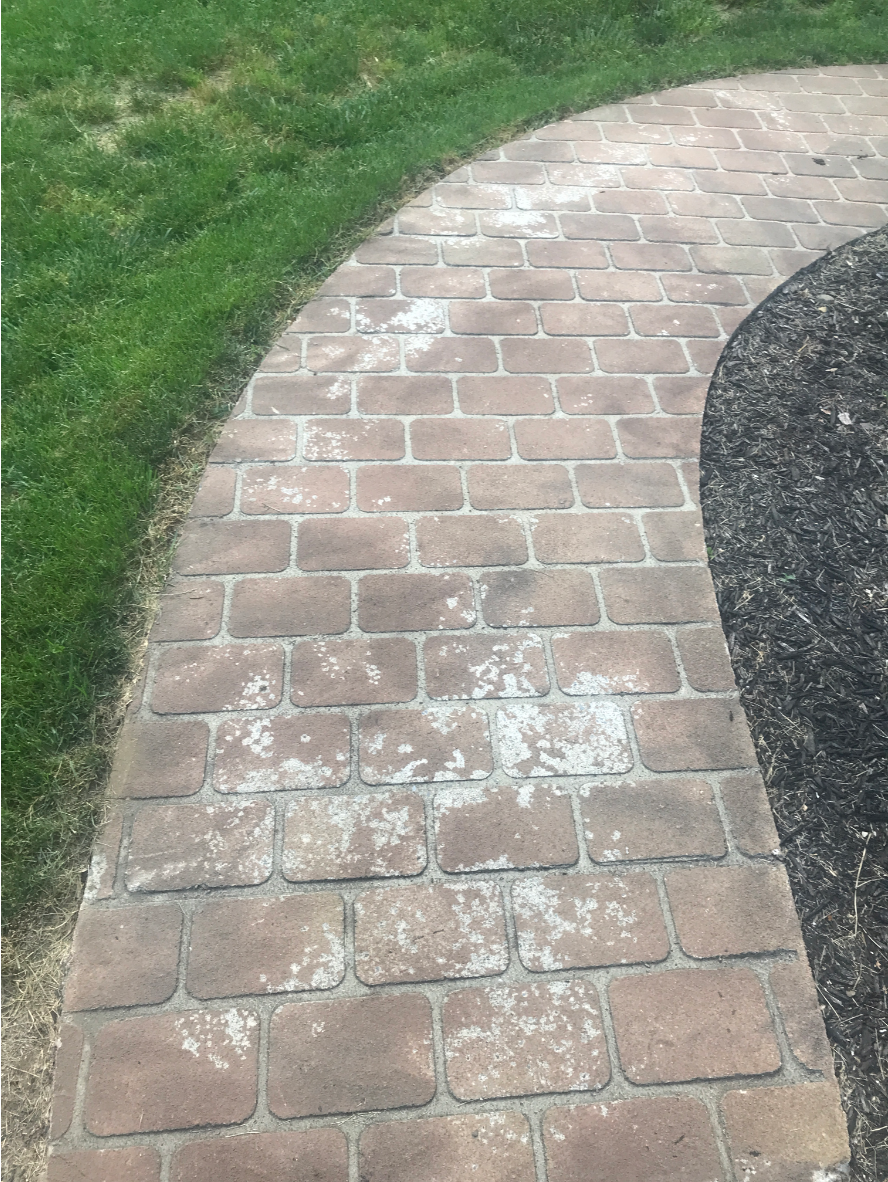 Paver walkway with efflorescence and fading before staining with Café Royale Portico™ Paver Stain