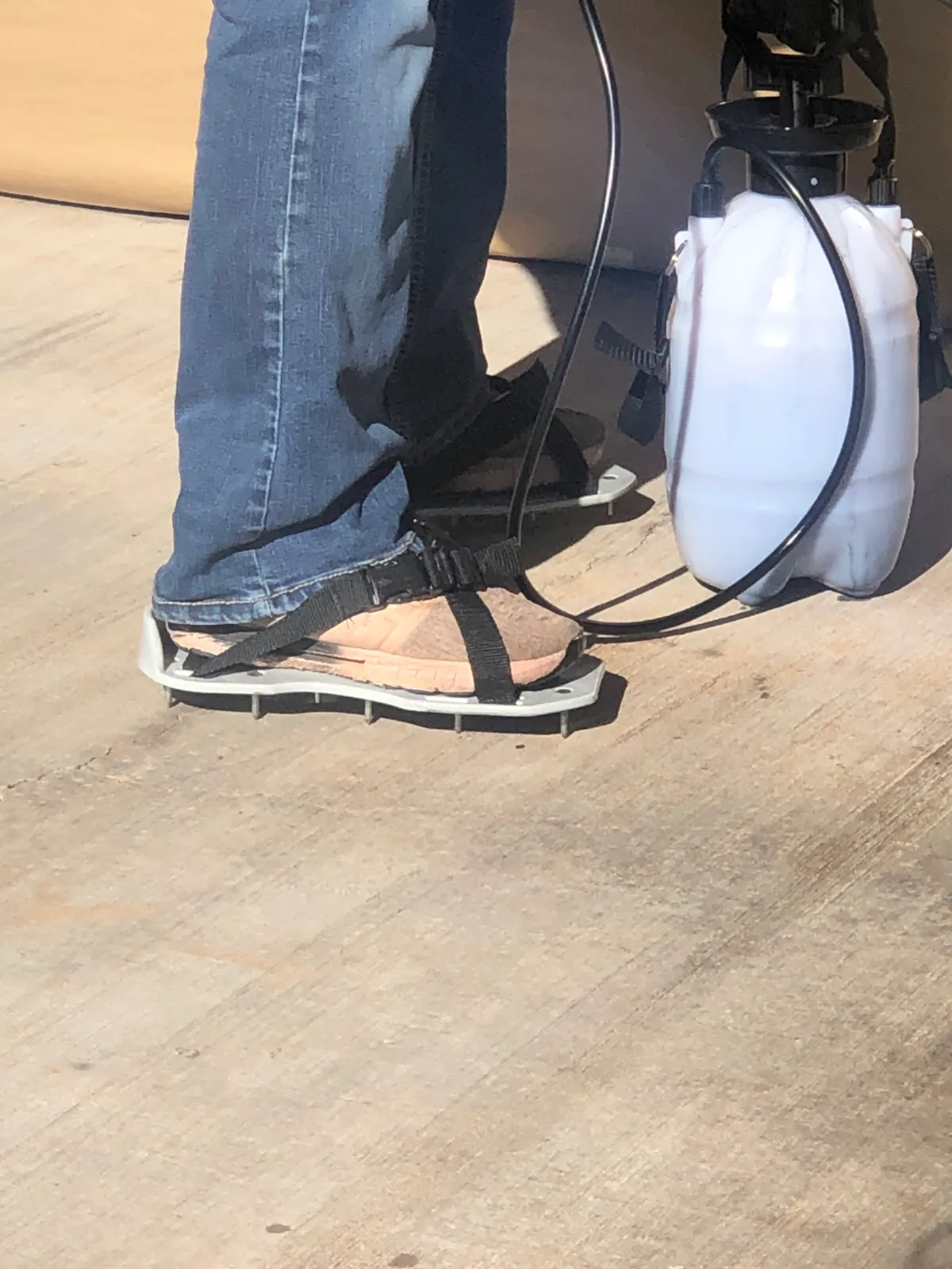 Porous broom-finish concrete patio before staining, with a pump sprayer and spiked shoes ready for application.